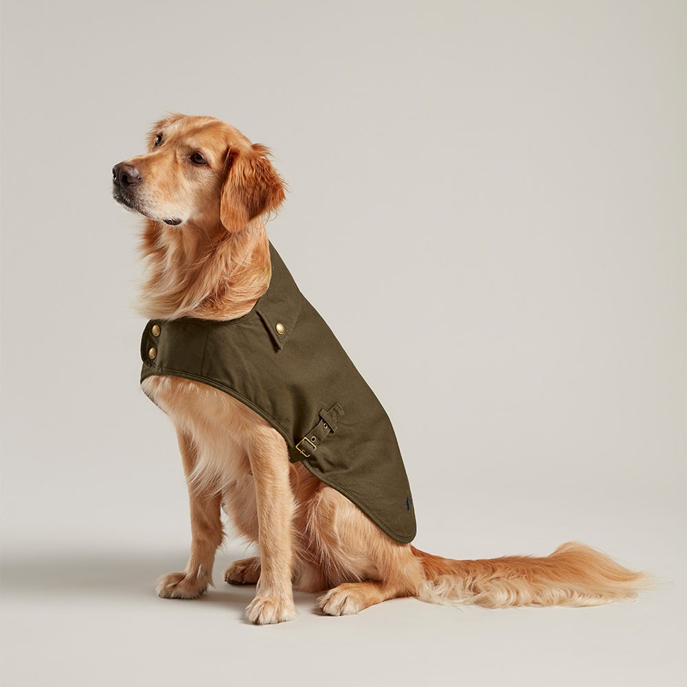 Joules Wax Dog Coat image 1